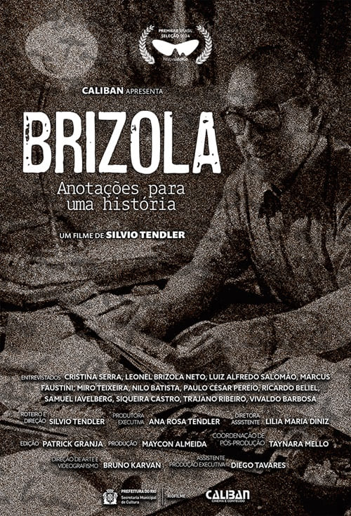 Brizola - Anotaes Para uma Histria